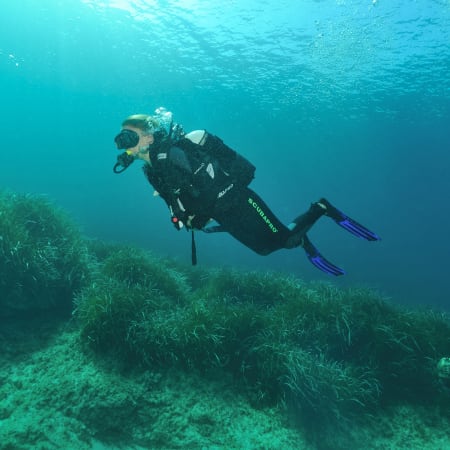 Plongée Spécial Débutant & Découverte Sport & Culture Martinique 15 jours