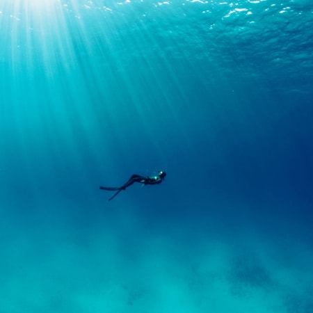 Apnée & Découverte