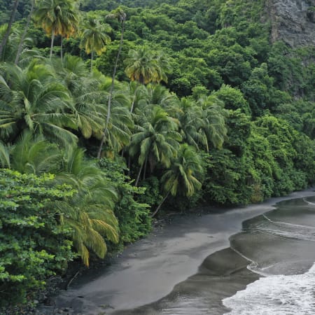 Découverte Sport & Culture Martinique 8 jours