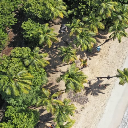 Pack Bon Plan Martinique 8 jours