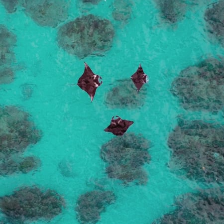 Plongée & Découverte - 10 jours