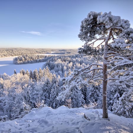 Échappée blanche en Finlande